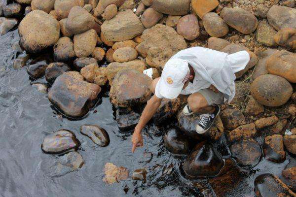 El ecosistema de los morichales, cosechas en San Vicente y el sistema de agua de Maturín se vieron afectados
