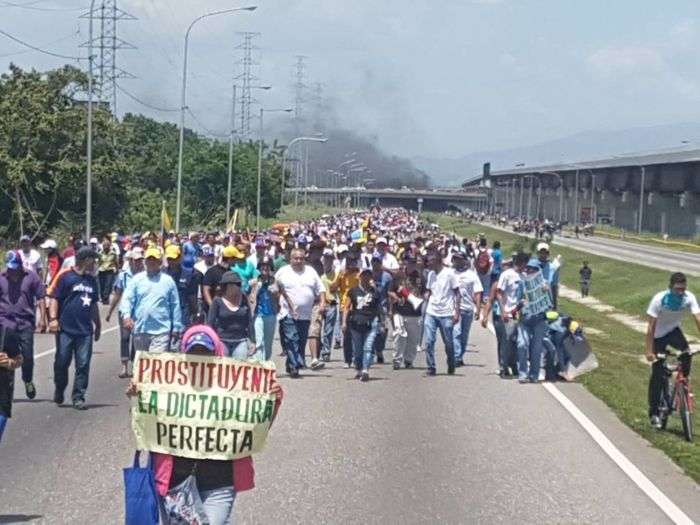 Ver Galería 12