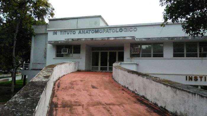 Venezuela: torturaron y asesinaron a una profesora argentina