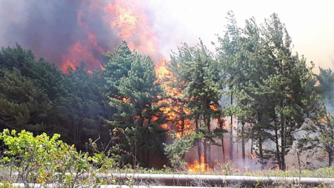 Incendio Uverito