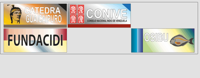Organización indígena sobre elecciones: no conocemos RE, no hemos podido sustituir candidatos ni acreditar testigos