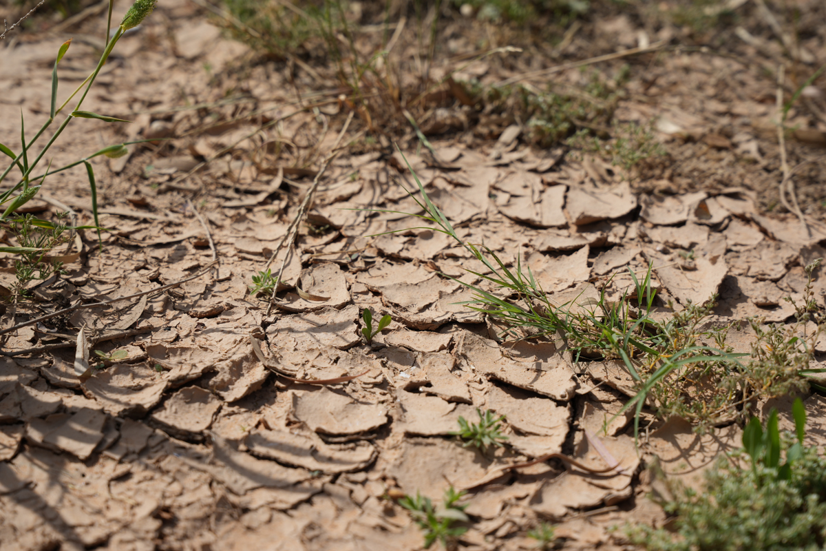 Experto de la ONU sobre Cambio Climático ve "retrocesos climáticos" en negacionismo de EEUU, seguido por Europa