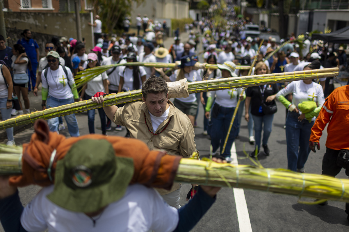 Los palmeros de Chacao bajaron del Ávila con palmas para el Domingo de Ramos