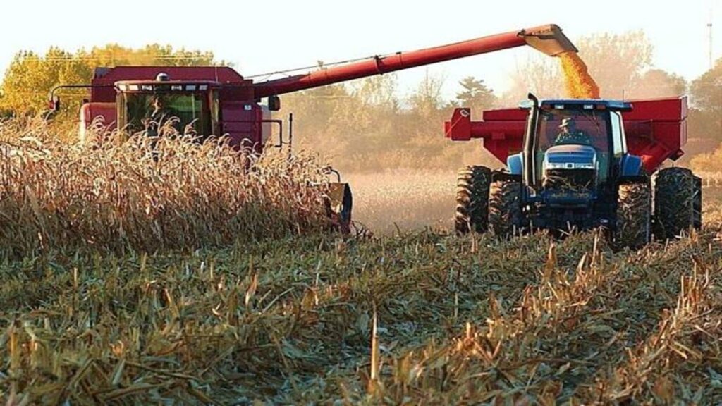 Productores agrícolas en Venezuela exigen «mismo nivel» de atención que petróleo y minería