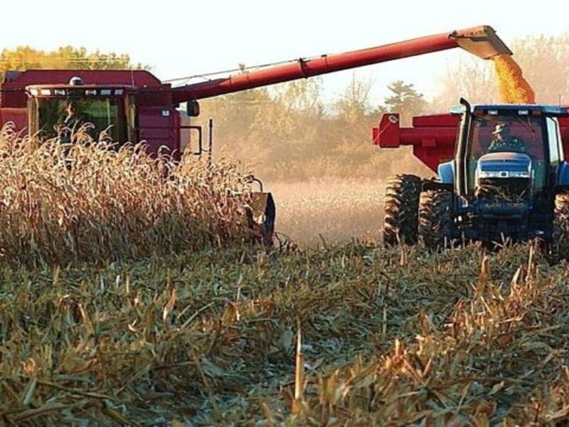 Productores agrícolas en Venezuela exigen «mismo nivel» de atención que petróleo y minería