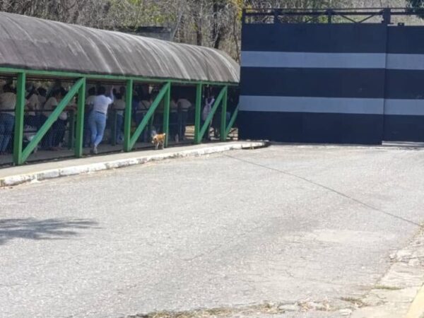 OVP denuncia traslado arbitrario de más de 600 presos desde Yare III